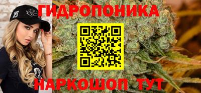 бутират Сланцы