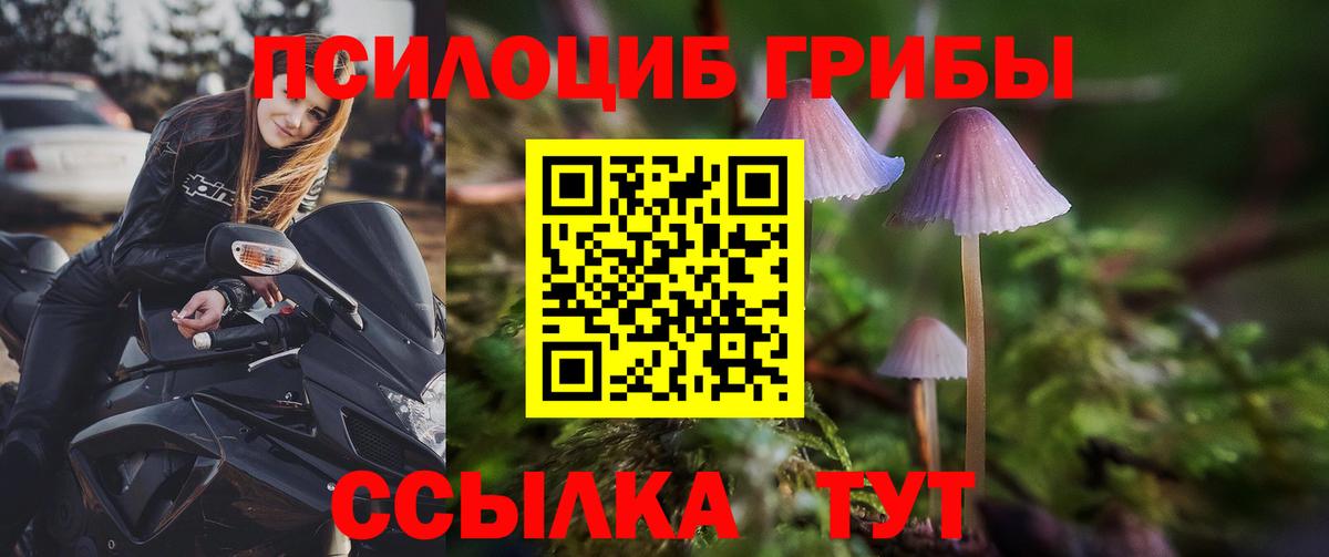 Псилоцибиновые грибы прущие грибы  Вход с VPN  Ноябрьск 