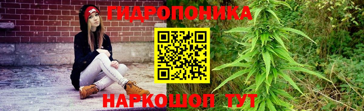 Бошки Шишки ГИДРОПОН  Бошки Шишки конопля  Ноябрьск  МАРИХУАНА Amnesia  Вход с VPN 